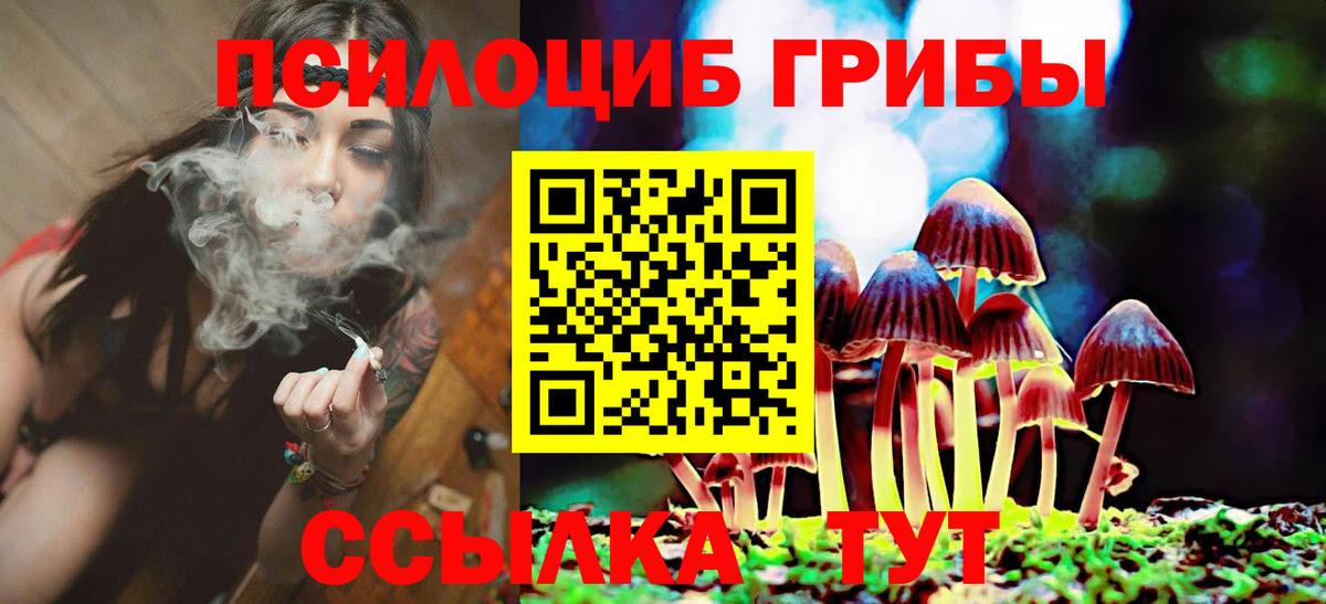 Галлюциногенные грибы Psilocybine cubensis  Вход с VPN  сколько стоит  Псилоцибиновые грибы ЛСД  Балашиха 